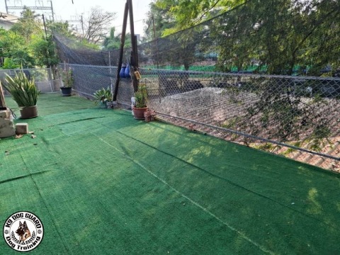 K-9 DOG GUARD รับฝึกสอนสุนัขและรับเลี้ยงทุกสายพันธุ์